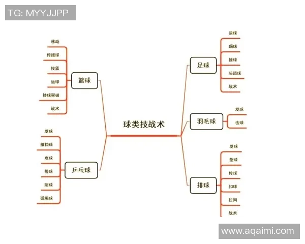 排球战术分析与西安排球队盯防体系的有效实施策略探讨