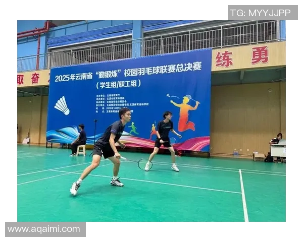 杭州羽毛球队与成都羽毛球队赛后复盘分析灵活性表现及战术调整探讨