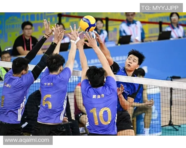 体育实时数据上海排球队状态引发热议球迷对球队表现和战术争议不断