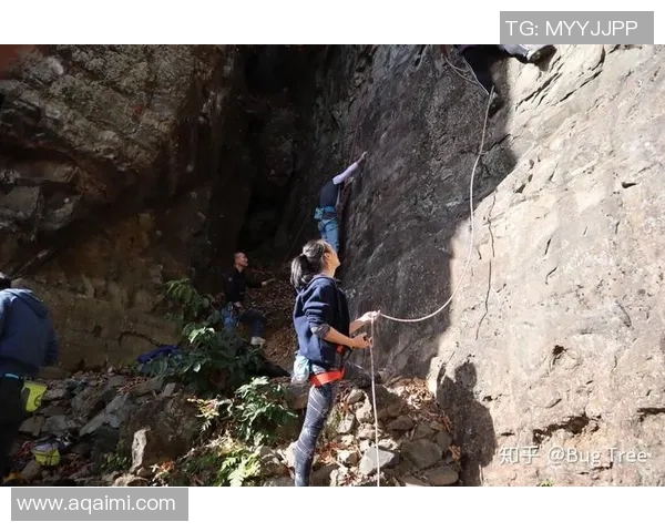 杨静谈攀岩之路：从初学者到顶尖选手的心路历程与成长故事实时数据